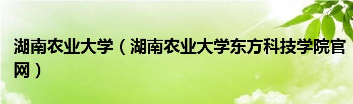 湖南农业大学（湖南农业大学东方科技学院官网）