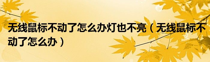 无线鼠标不动了怎么办灯也不亮（无线鼠标不动了怎么办）