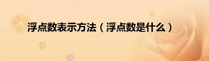 浮点数表示方法（浮点数是什么）