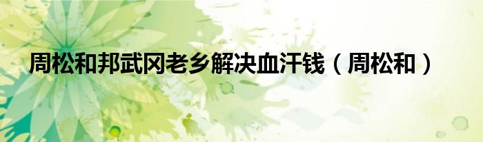 周松和邦武冈老乡解决血汗钱（周松和）