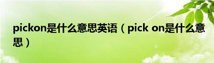 pickon是什么意思英语（pick on是什么意思）