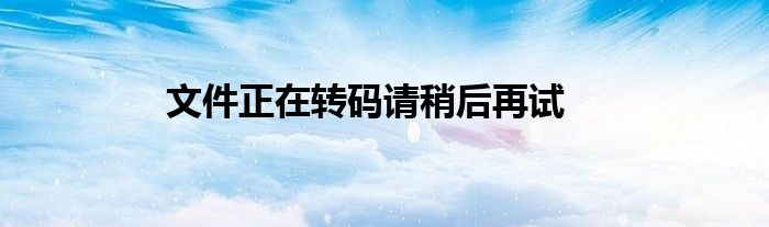 文件正在转码请稍后再试