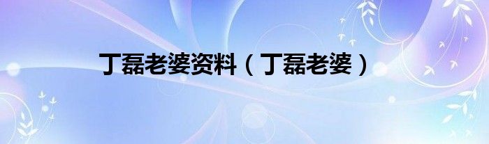 丁磊老婆资料（丁磊老婆）