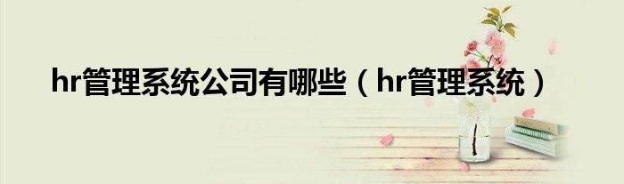 hr管理系统公司有哪些（hr管理系统）