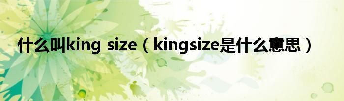 什么叫king size（kingsize是什么意思）