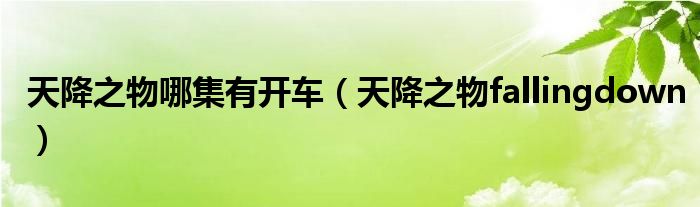 天降之物哪集有开车（天降之物fallingdown）