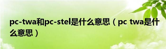pc-twa和pc-stel是什么意思（pc twa是什么意思）