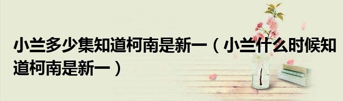 小兰多少集知道柯南是新一（小兰什么时候知道柯南是新一）