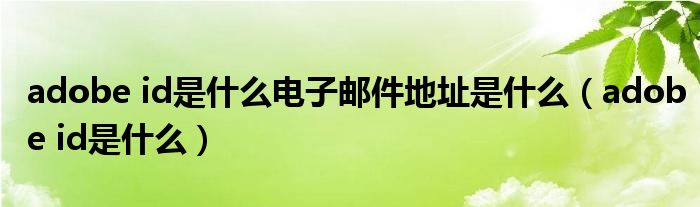 adobe id是什么电子邮件地址是什么（adobe id是什么）