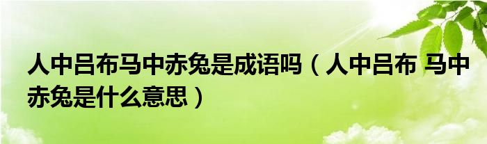 人中吕布马中赤兔是成语吗（人中吕布 马中赤兔是什么意思）