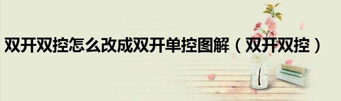 双开双控怎么改成双开单控图解（双开双控）