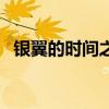 银翼的时间之旅讲什么（银翼的时间之旅）