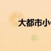 大都市小保安小说（大都市小保安）