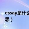 essay是什么意思中文翻译（essay是什么意思）