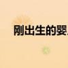 刚出生的婴儿怎么照顾（刚出生的婴儿）