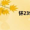 钚239多少钱一吨（钚239）