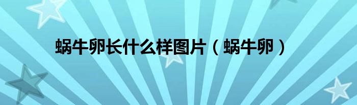 蜗牛卵长什么样图片（蜗牛卵）
