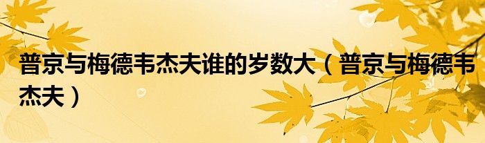 普京与梅德韦杰夫谁的岁数大（普京与梅德韦杰夫）