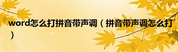 word怎么打拼音带声调（拼音带声调怎么打）