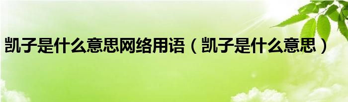 凯子是什么意思网络用语（凯子是什么意思）