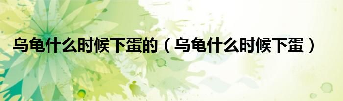 乌龟什么时候下蛋的（乌龟什么时候下蛋）