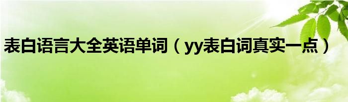 表白语言大全英语单词（yy表白词真实一点）