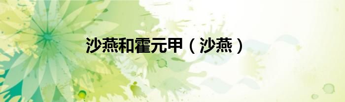 沙燕和霍元甲（沙燕）