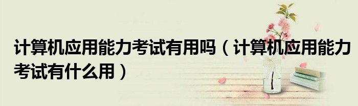 计算机应用能力考试有用吗（计算机应用能力考试有什么用）