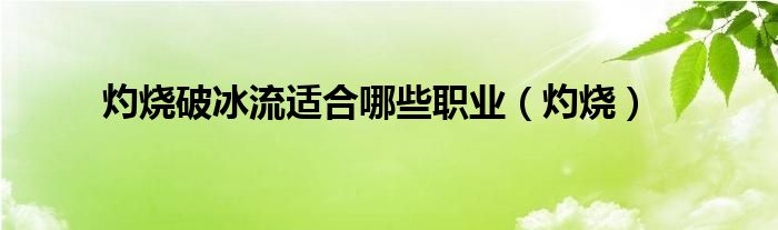 灼烧破冰流适合哪些职业（灼烧）