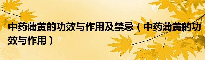 中药蒲黄的功效与作用及禁忌（中药蒲黄的功效与作用）