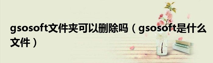 gsosoft文件夹可以删除吗（gsosoft是什么文件）