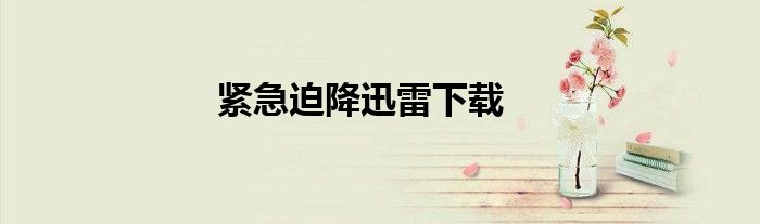 紧急迫降迅雷下载