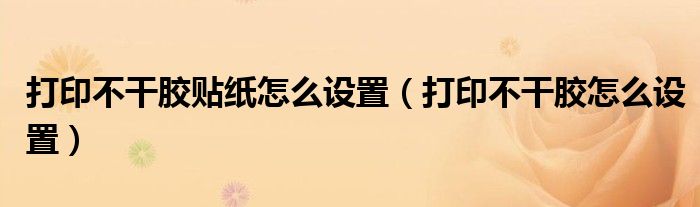 打印不干胶贴纸怎么设置（打印不干胶怎么设置）