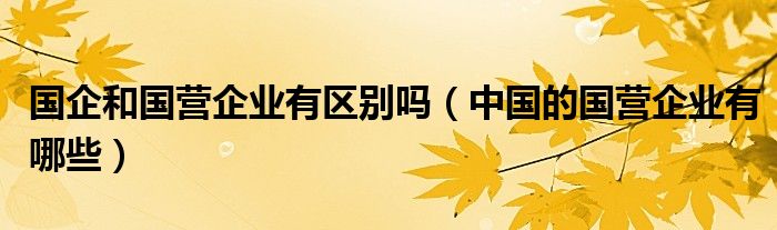 国企和国营企业有区别吗（中国的国营企业有哪些）