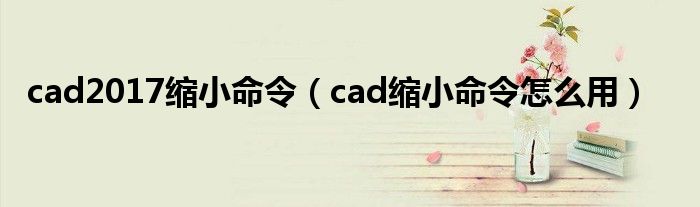 cad2017缩小命令（cad缩小命令怎么用）