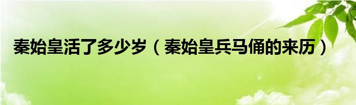 秦始皇活了多少岁（秦始皇兵马俑的来历）