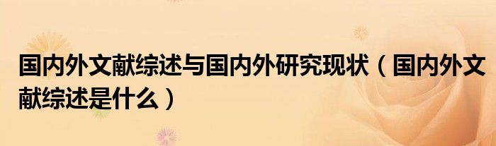 国内外文献综述与国内外研究现状（国内外文献综述是什么）