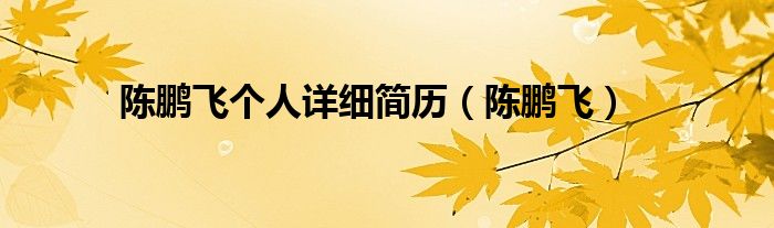 陈鹏飞个人详细简历（陈鹏飞）
