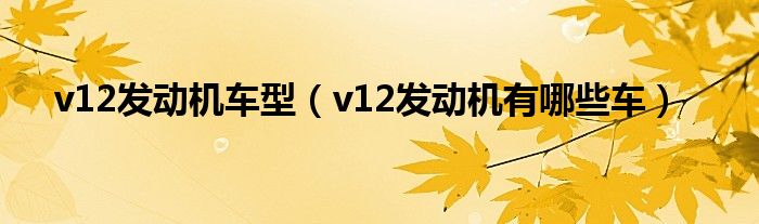 v12发动机车型（v12发动机有哪些车）