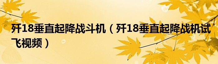 歼18垂直起降战斗机（歼18垂直起降战机试飞视频）