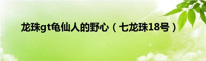 龙珠gt龟仙人的野心（七龙珠18号）