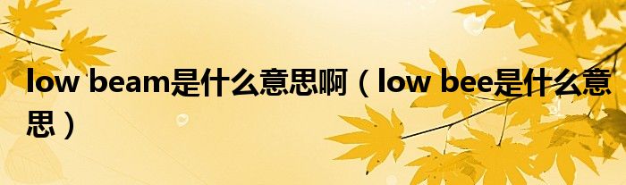 low beam是什么意思啊（low bee是什么意思）