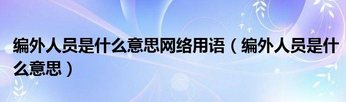 编外人员是什么意思网络用语（编外人员是什么意思）