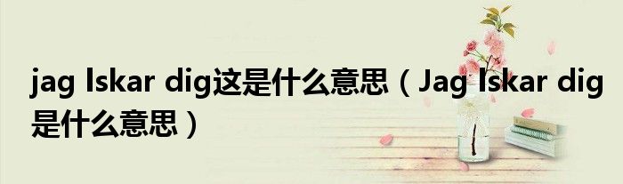 jag lskar dig这是什么意思（Jag lskar dig是什么意思）