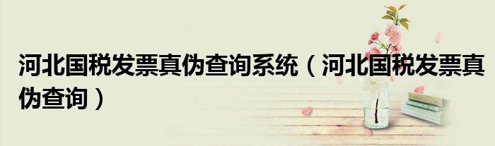 河北国税发票真伪查询系统（河北国税发票真伪查询）