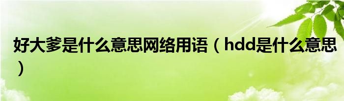 好大爹是什么意思网络用语（hdd是什么意思）