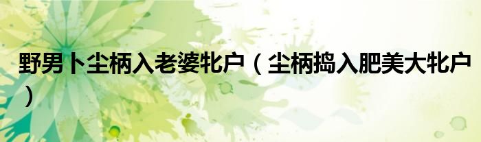 野男卜尘柄入老婆牝户（尘柄捣入肥美大牝户）