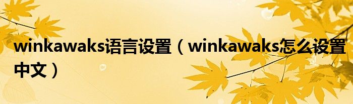 winkawaks语言设置（winkawaks怎么设置中文）