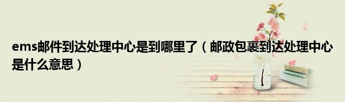 ems邮件到达处理中心是到哪里了（邮政包裹到达处理中心是什么意思）