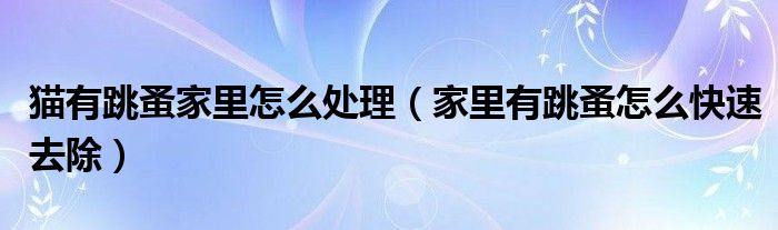猫有跳蚤家里怎么处理（家里有跳蚤怎么快速去除）